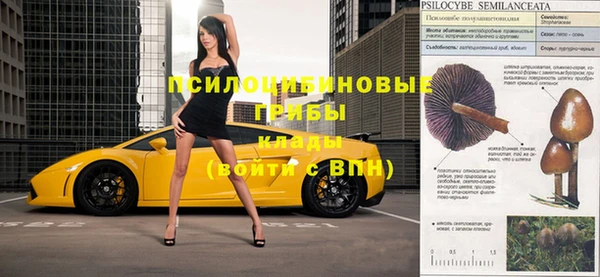 сатива Медвежьегорск