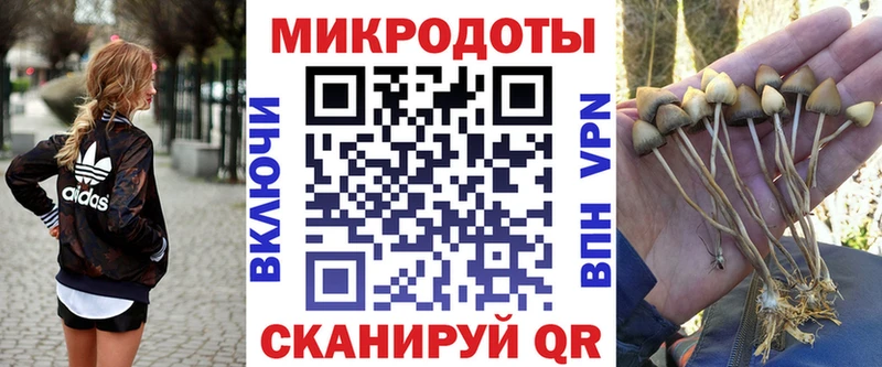 Галлюциногенные грибы ЛСД  МЕГА как войти  Томмот 